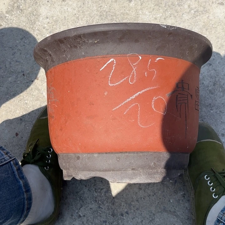 紫砂花盆紫砂的味道