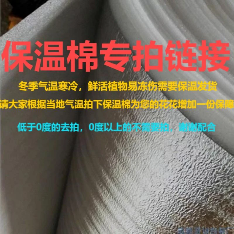 【豆妈来了】保温棉专拍链接