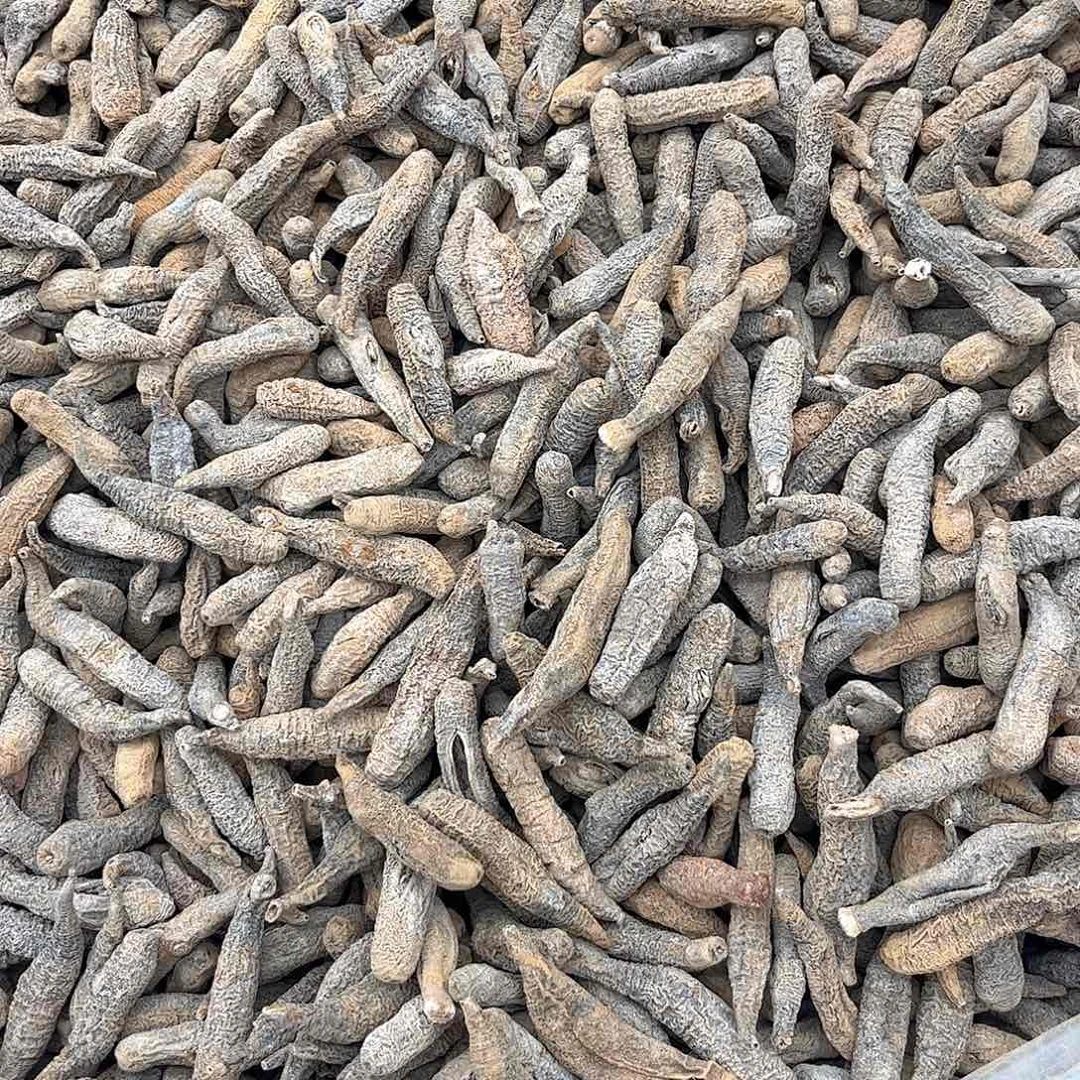 澳大利亚澳洲小尾秃参一斤500g