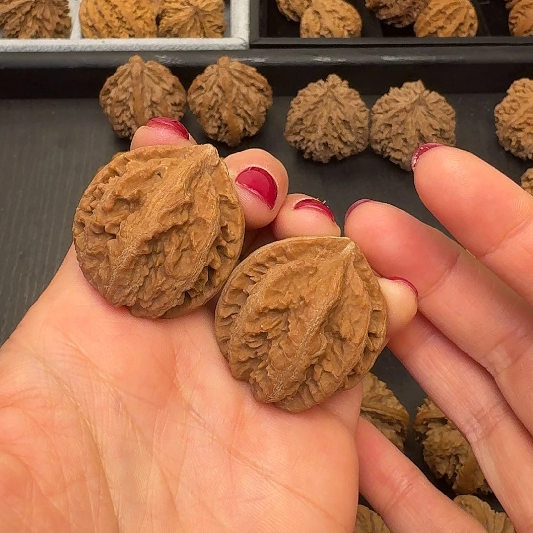 核桃突突突突突突突