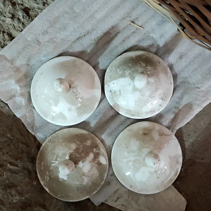 摆件陶瓷盘子碗啥都有