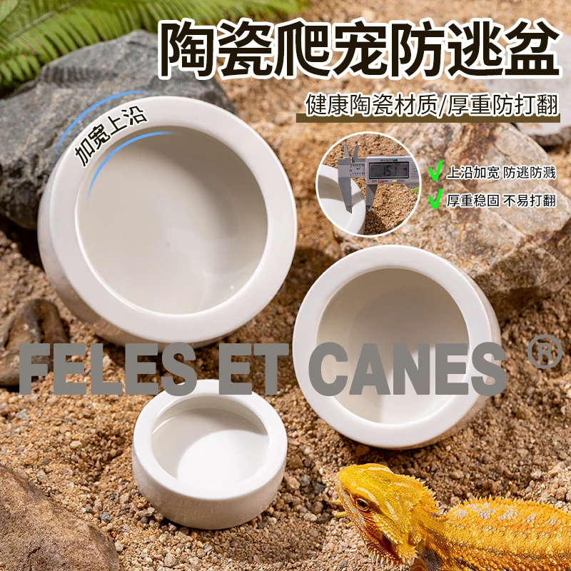 陶瓷爬宠防逃逸食盆水盆爬虫缸防逃脱守宫角蛙蜥蜴仓鼠食碗