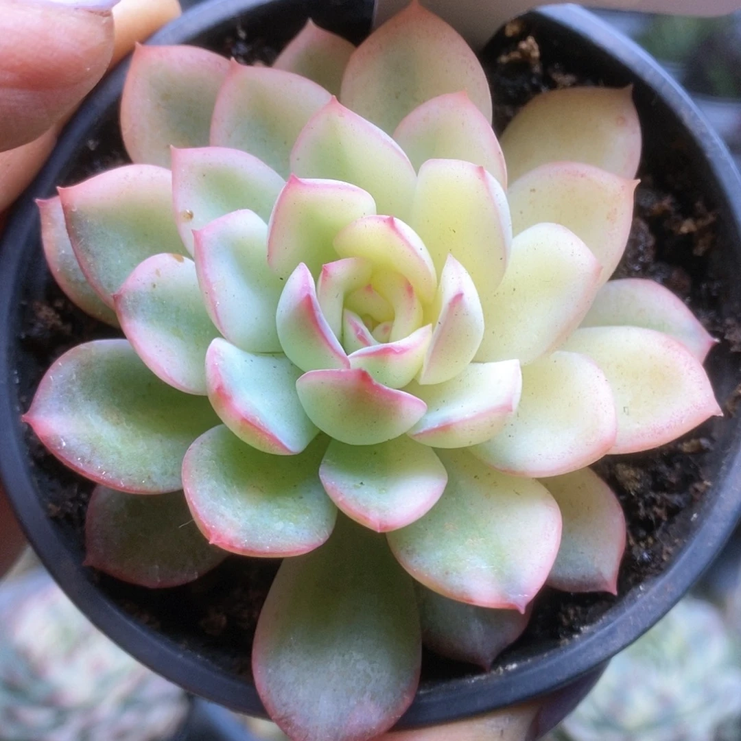 D054哈哈哈哈哈哈哈哈哈