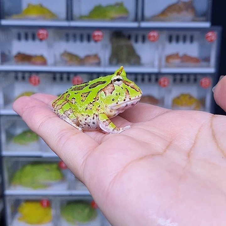 特价秒杀现货特价