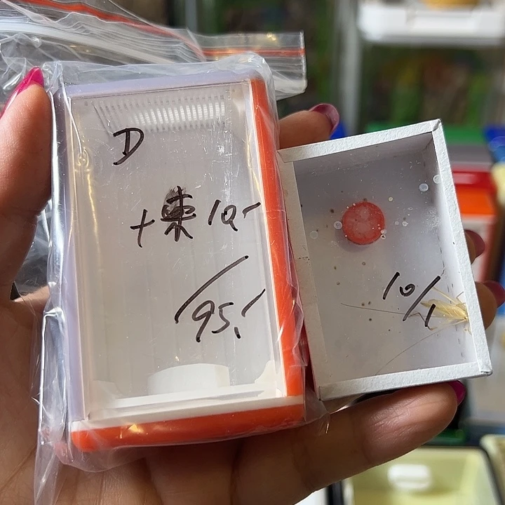 D***单蟋蟀哈哈哈哈哈哈哈哈哈哈哈