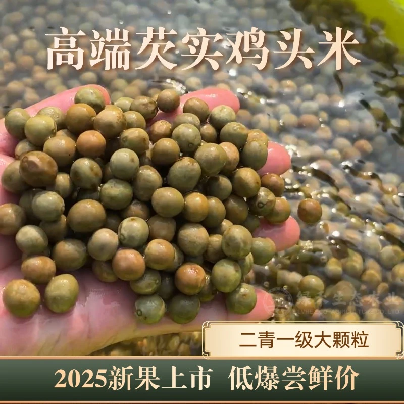 2025新鲜带壳鸡头米鸡头果新货芡实鲜芡实鸡头米包装漏气不影响