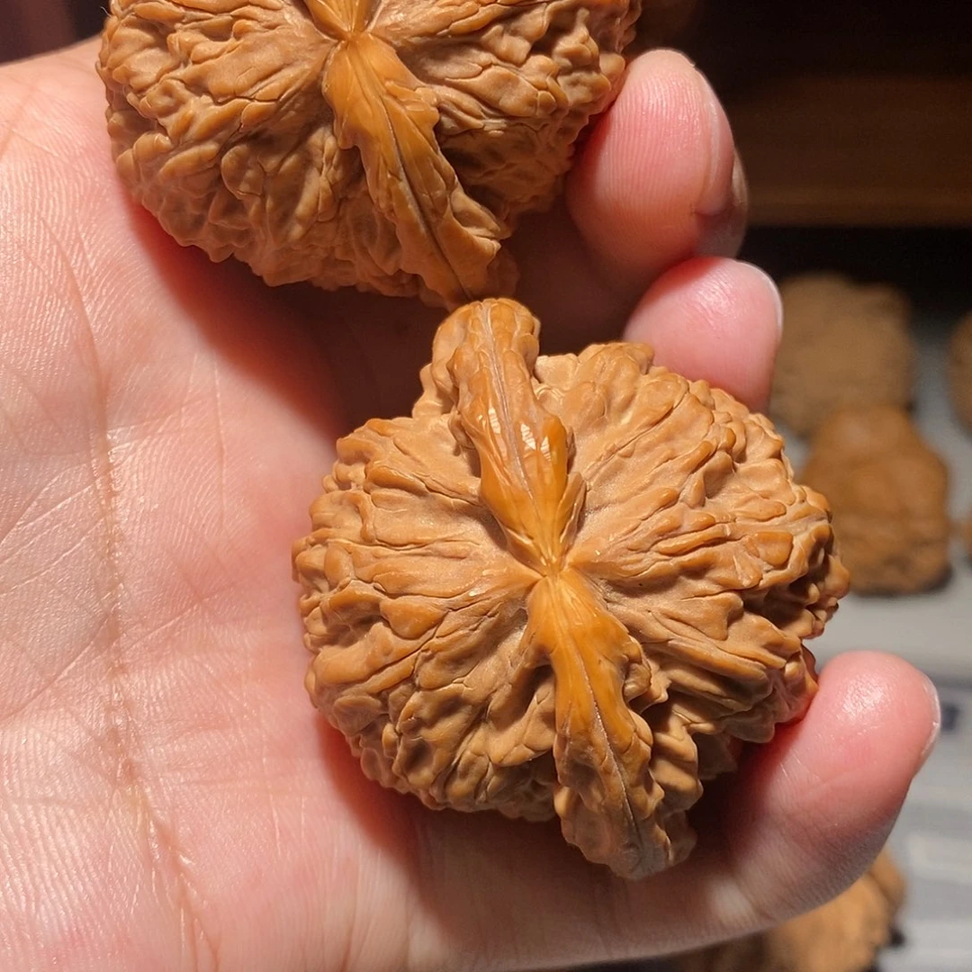 把件文玩核桃017白狮子49尺有修