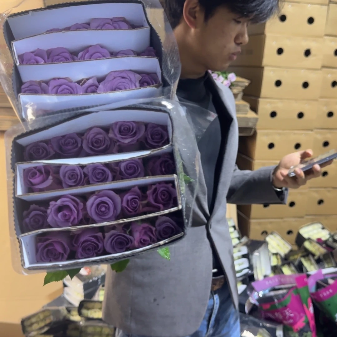 紫霞仙子2扎包邮价秒杀