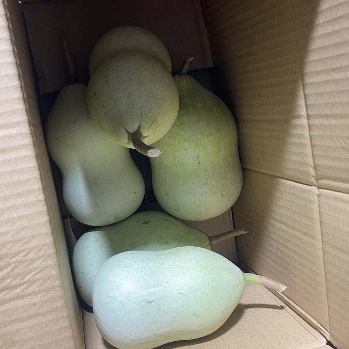 非洲紫檀（红花梨）闻*