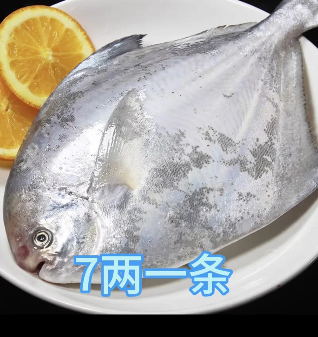 新鲜 大银鲳鱼7两一条（6条包邮）顺丰包邮液氮锁鲜发货