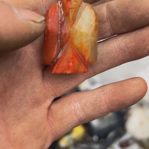 杂色豆（科檀/科特迪瓦檀木）喜*