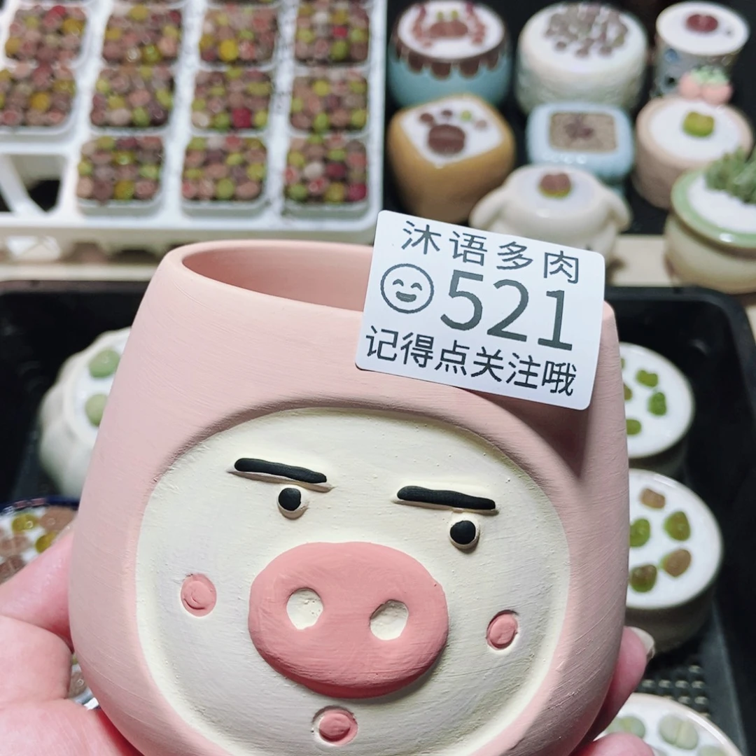 一物一拍 所见即所得 521