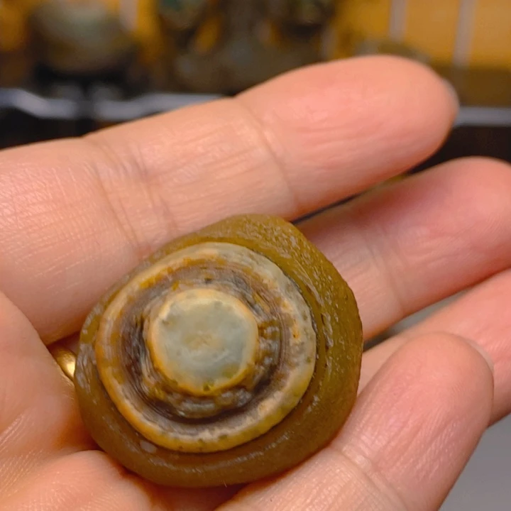 柳外蒙眼睛不退不换