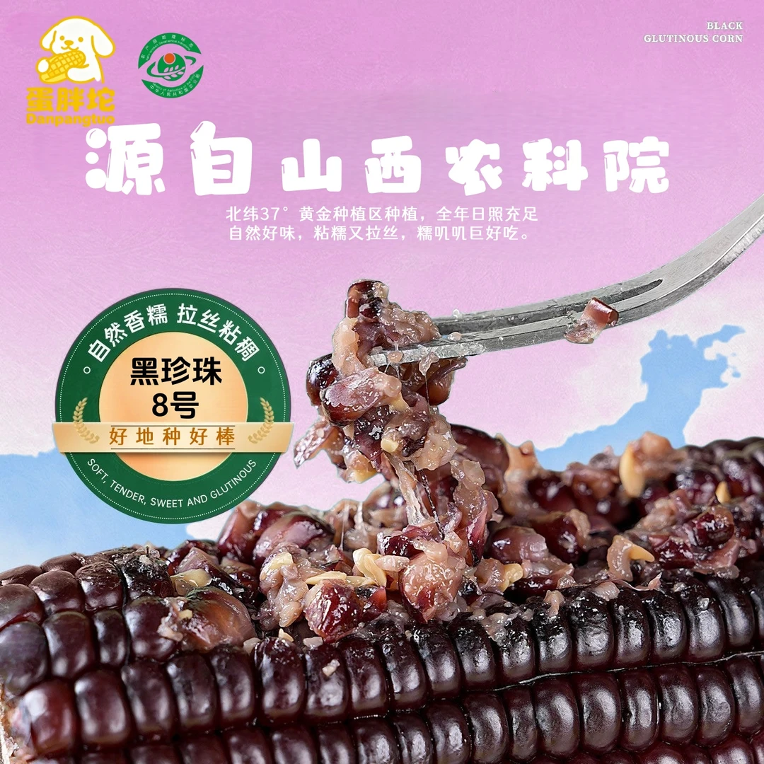 山西当季头茬黑珍珠糯玉米新鲜软糯香甜真空装