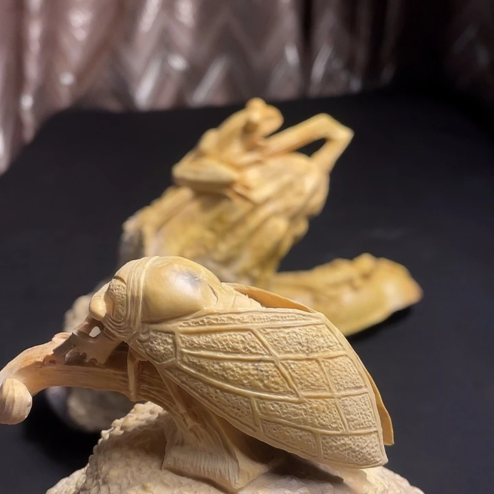 黄杨木力*今天晚上你好大哥