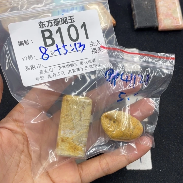 硅化珊瑚（珊瑚玉）颈饰合金