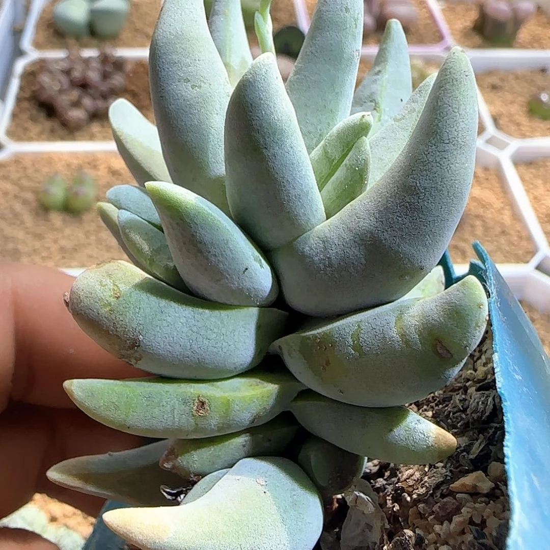 哈哈哈哈哈哈哈50739