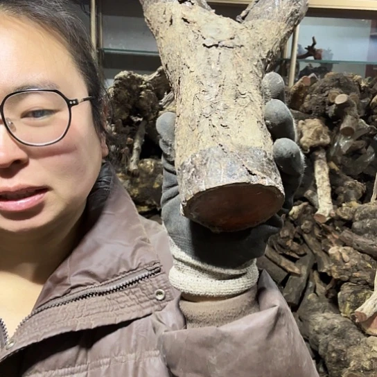 香榧木ℒ****火琉璃的毛料吧，料