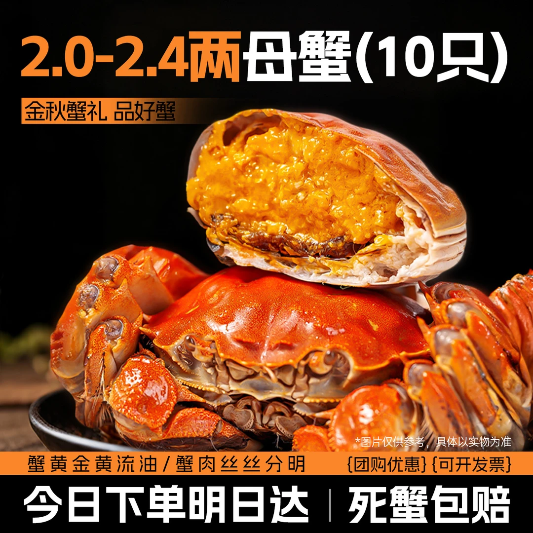 【活蟹现发】50规格【次日达】江苏兴化大闸蟹2 两/只 10只全母足量蟹