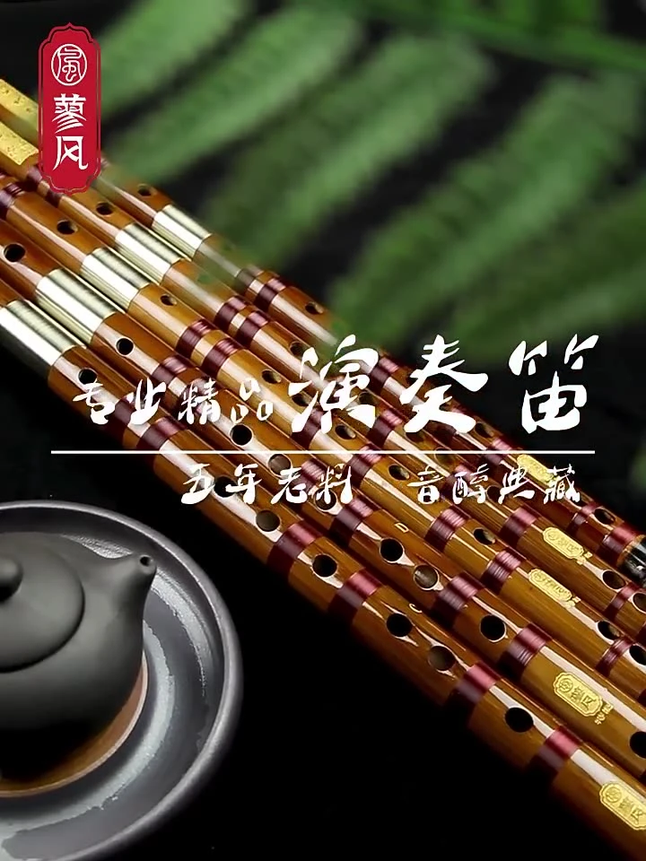 莆仙十音八乐曲谱竹笛演奏通用300曲初学入门必备动态赠送U存