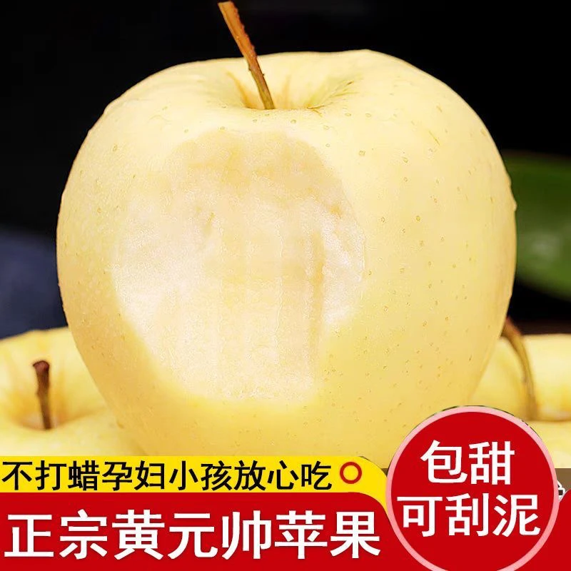 正宗黄元帅黄香蕉黄金帅苹果奶油苹果整箱新鲜采摘粉面刮泥产地发