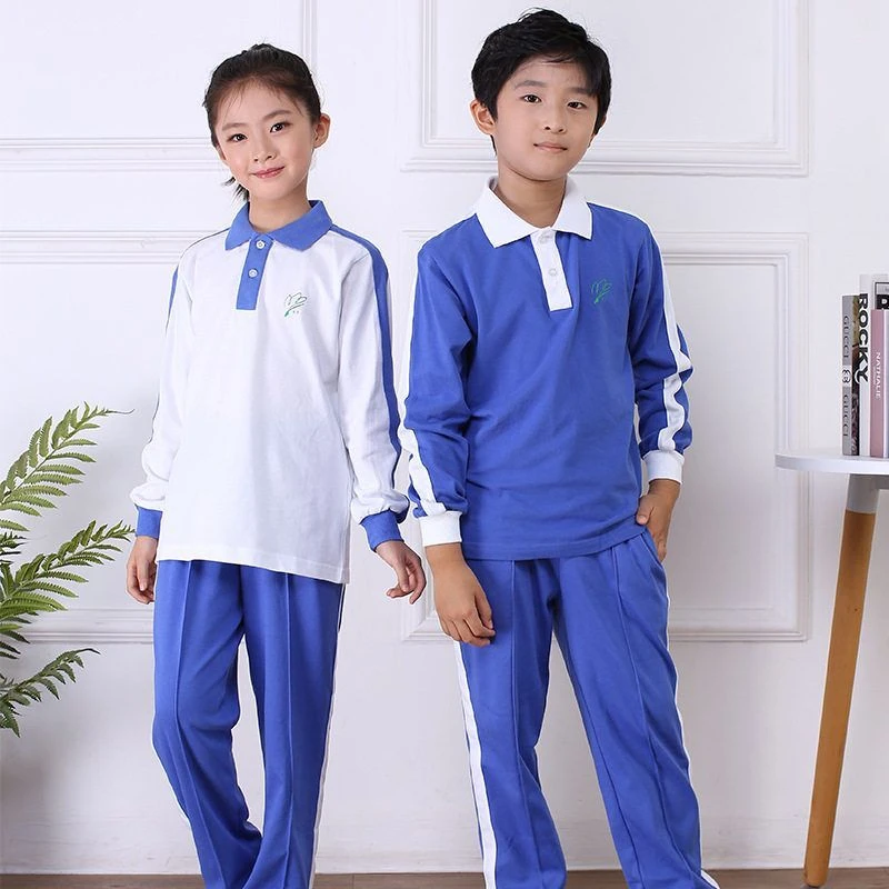 深圳校服小学生夏季速干运动套装男女夏装统一款育达校服短袖裤子