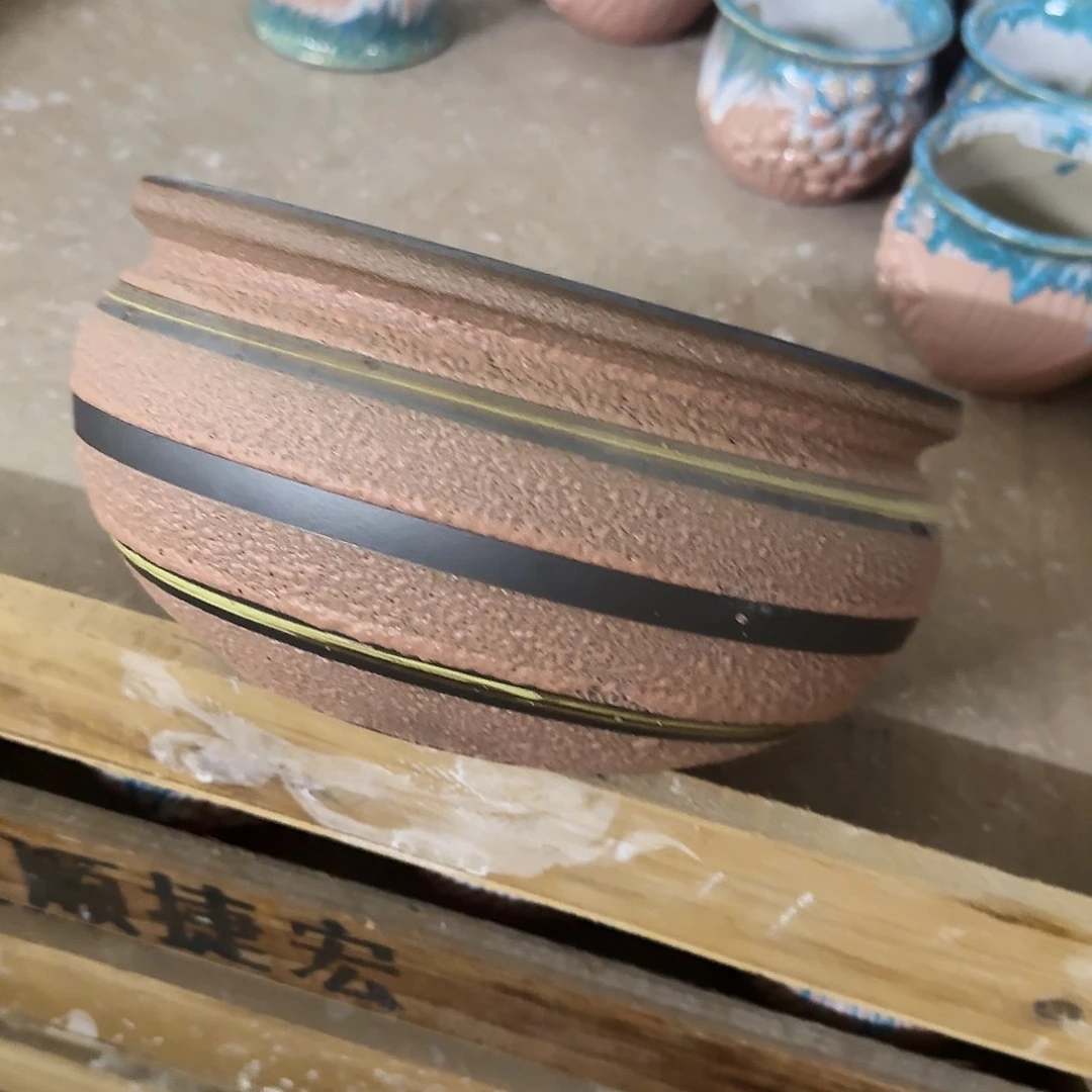 福利局绿植多肉盆［凑9元包邮24小时发］