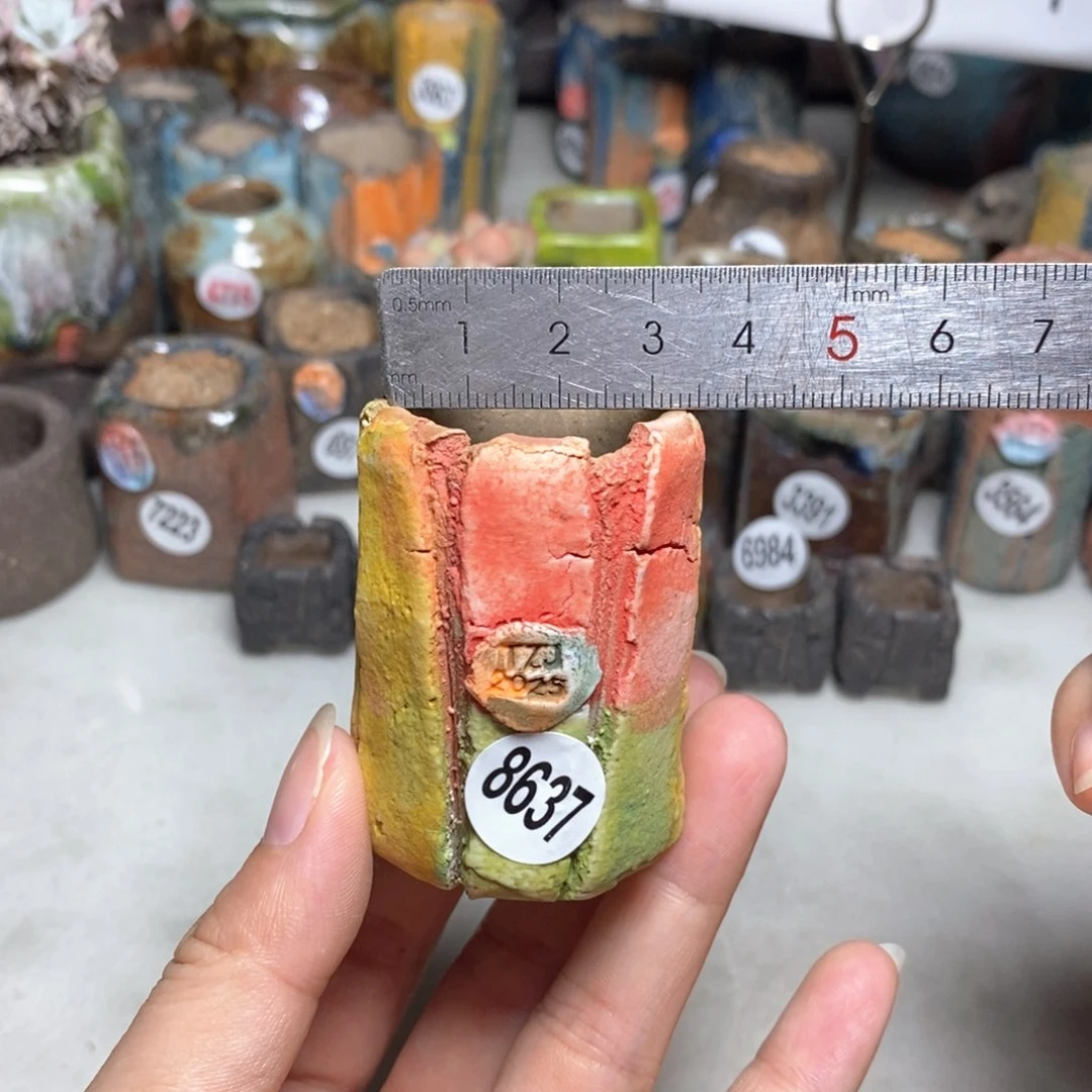 拍3送一个小礼物