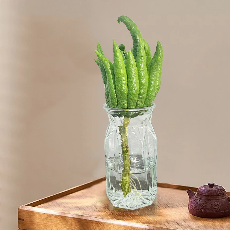 玻璃花瓶透明北欧ins风创意鲜花花瓶专用水培器皿玻璃花瓶插花