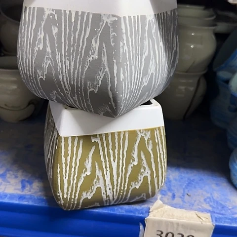 ···2个处理······3007