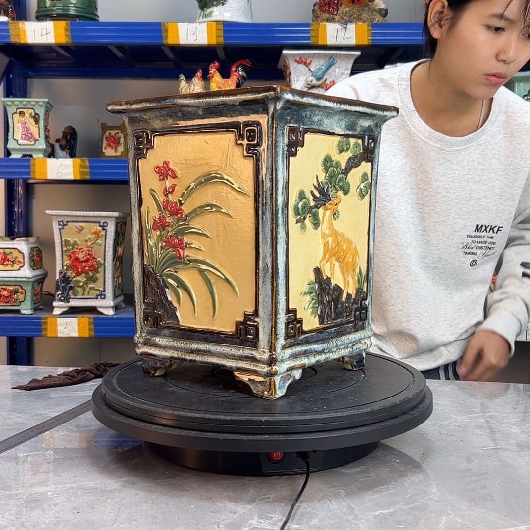 白***鹭你们都市里面有什么