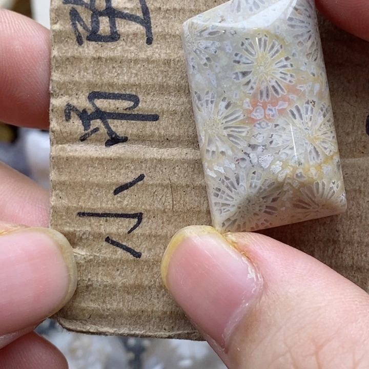 颈饰未镶嵌硅化珊瑚（珊瑚玉）空**忆