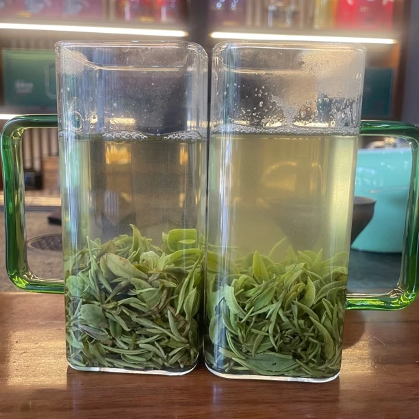 豫坤茗2025信阳毛尖新茶口粮茶性价比高