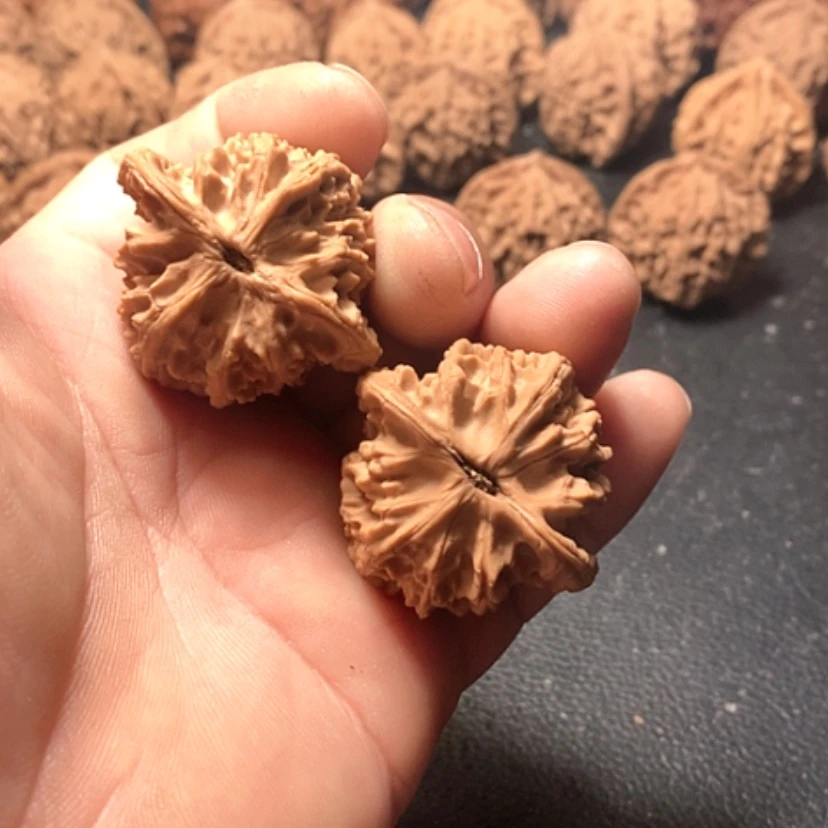 【闪购商品】止*金牛