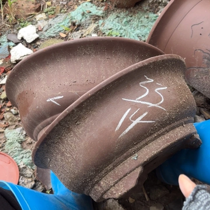 茶壶紫砂紫砂的花