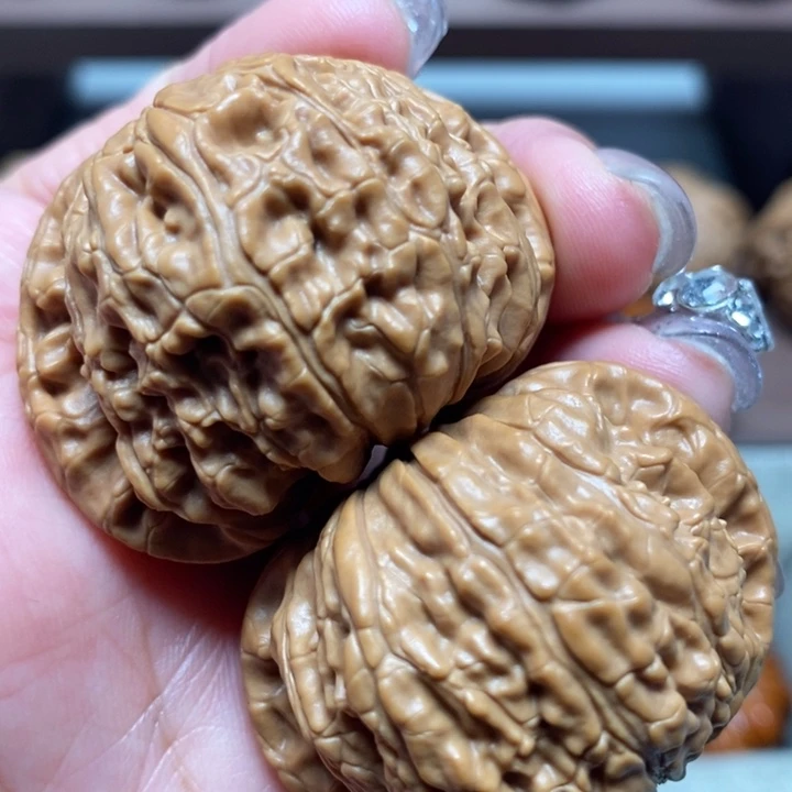 文玩核桃把件白狮子42尺寸