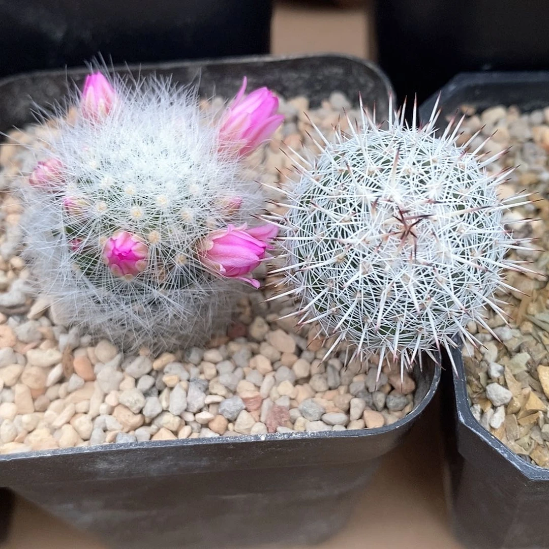 孙*花花花花花花花花花花