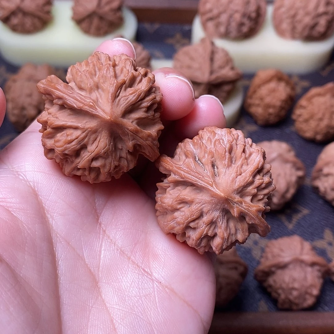 木质类全品骨赛龙38尺