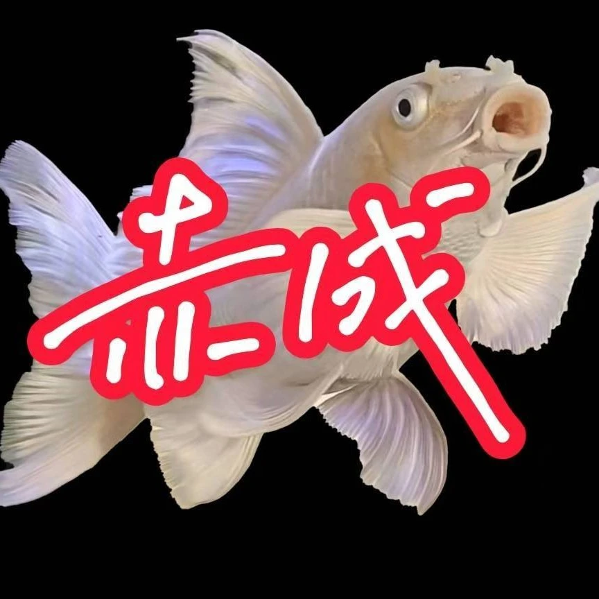 赤成渔业红色蝴蝶鲤