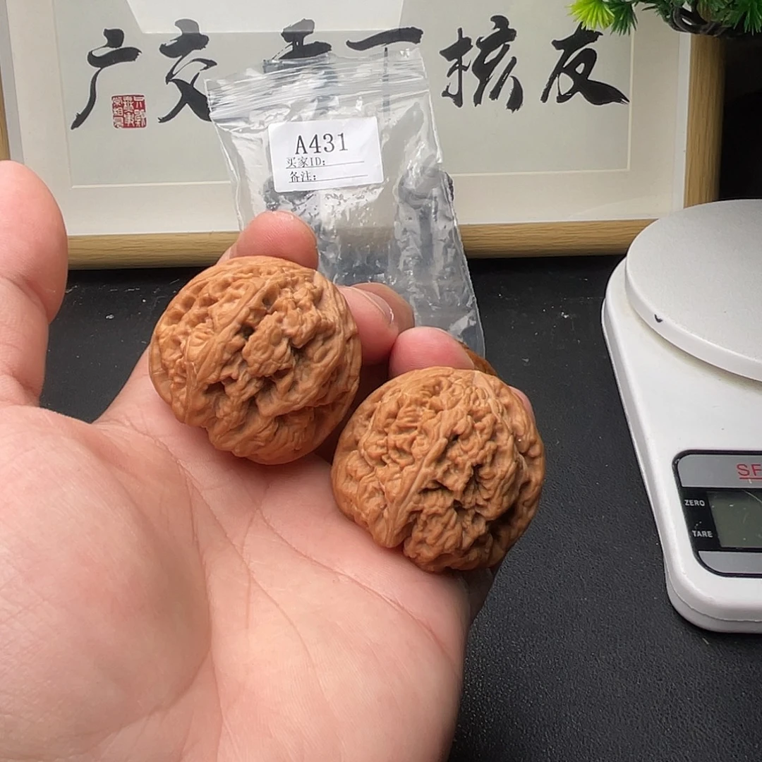A431粗筋41尺全品