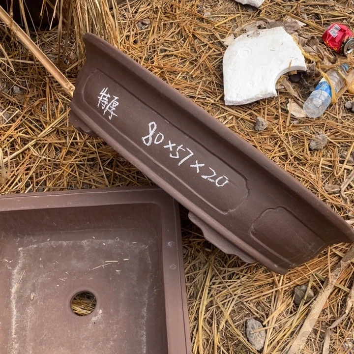 特价处理紫砂一只