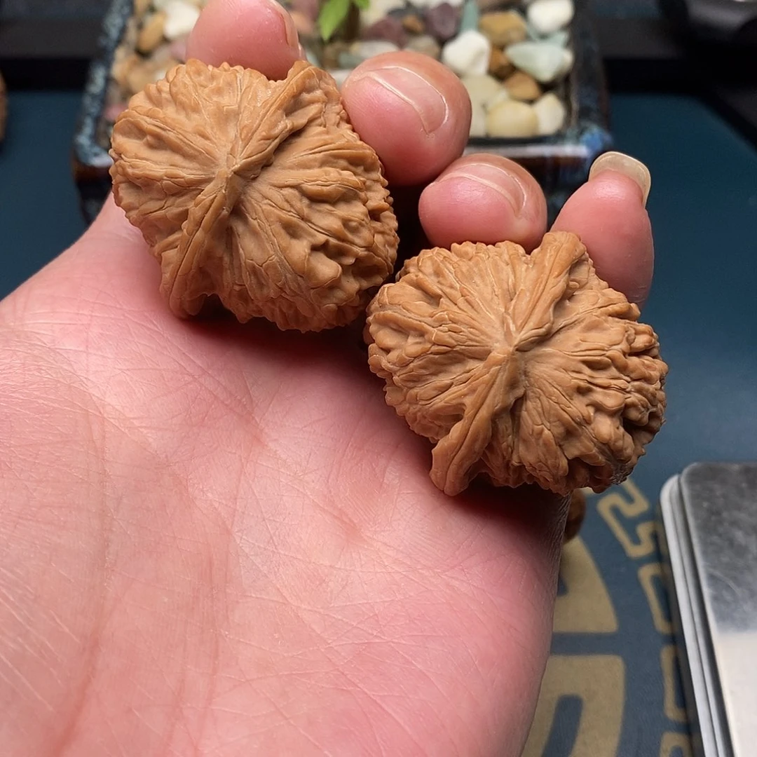 文玩核桃白狮子38全品