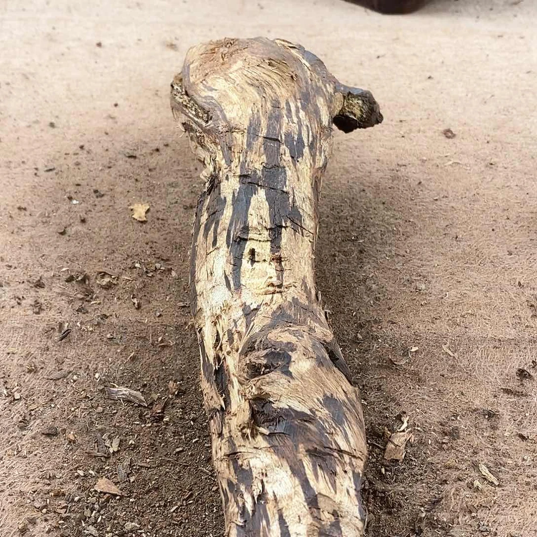 木1***2黄花梨随形料子