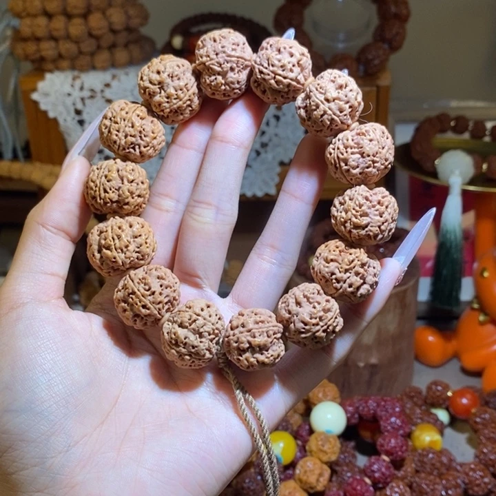 手串金刚菩提225原籽树王满肉一物