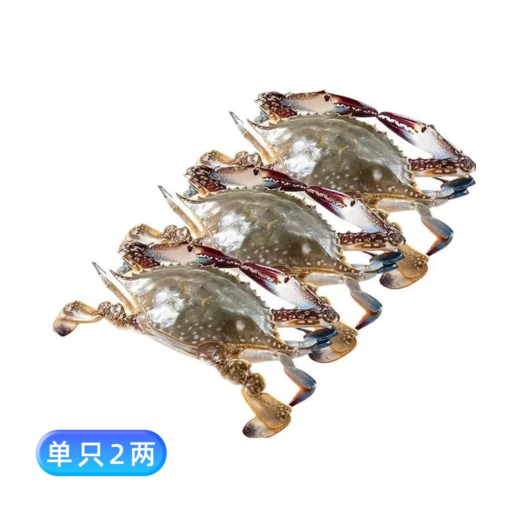【保鲜不保活】梭子蟹单只2两（4斤约20只左右）