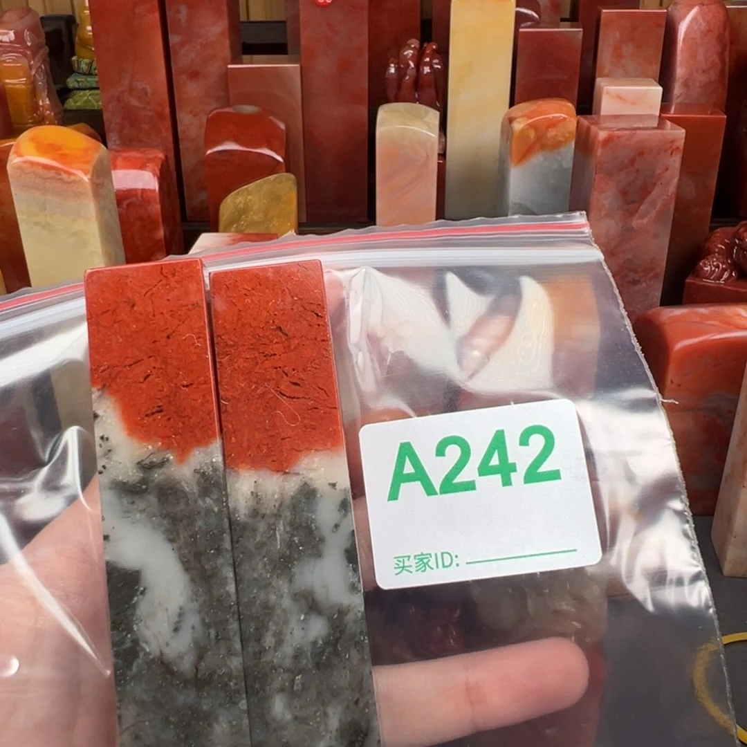 老挝石印石韦*老挝石