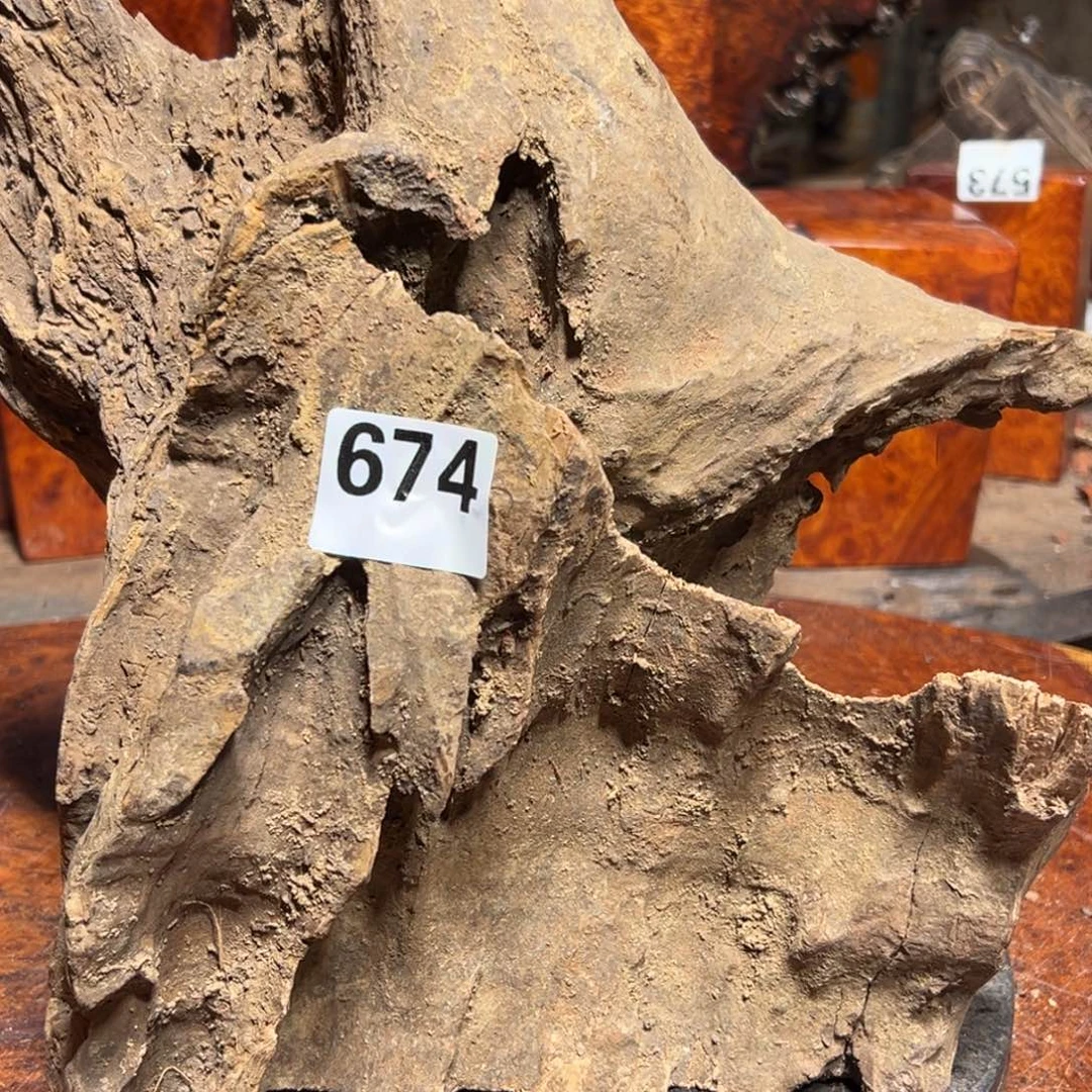 天***蛋大果紫檀（缅甸花梨）