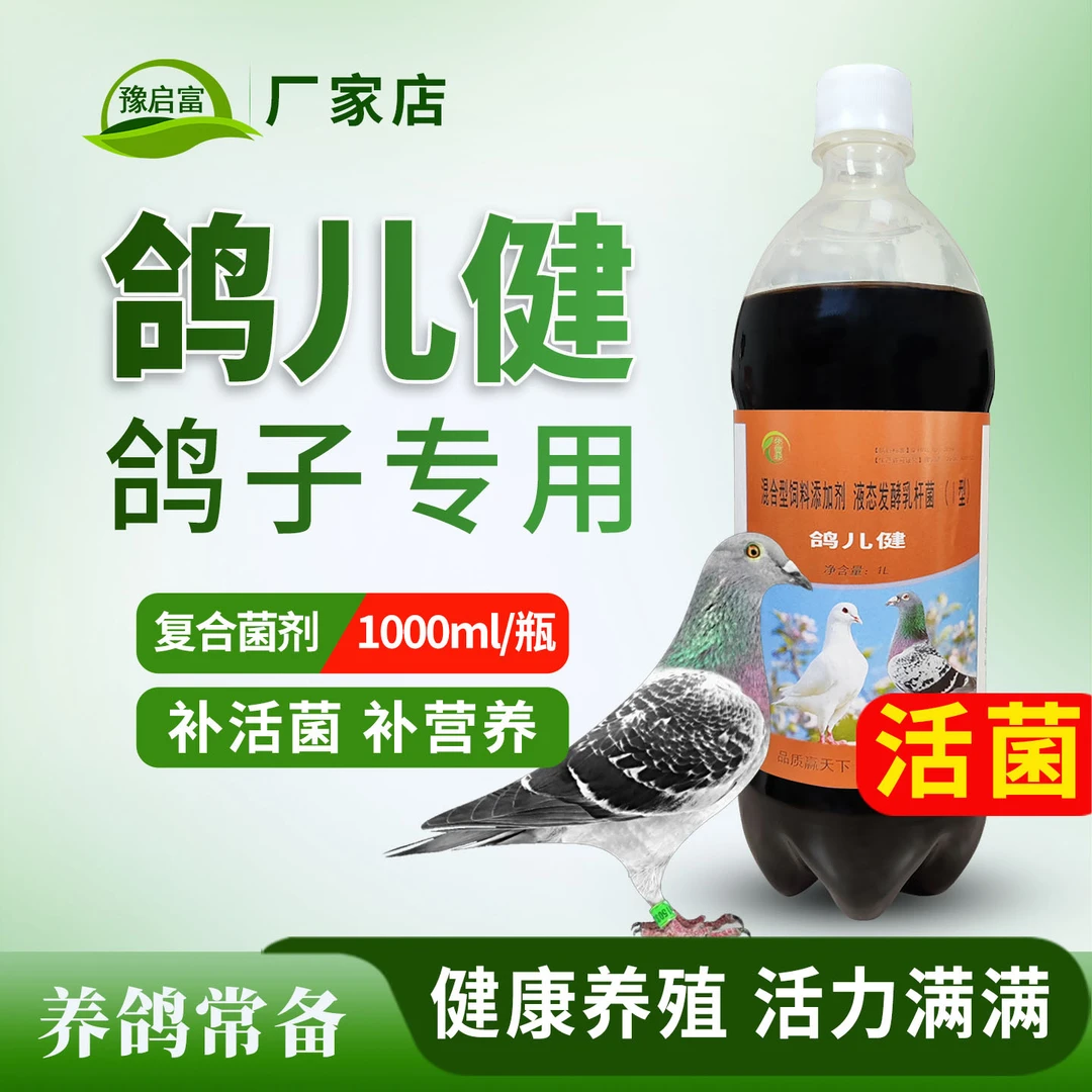 养鸽专用益生菌信鸽赛鸽幼鸽肠道药水便绿便鸽用活菌em菌液鸽儿健