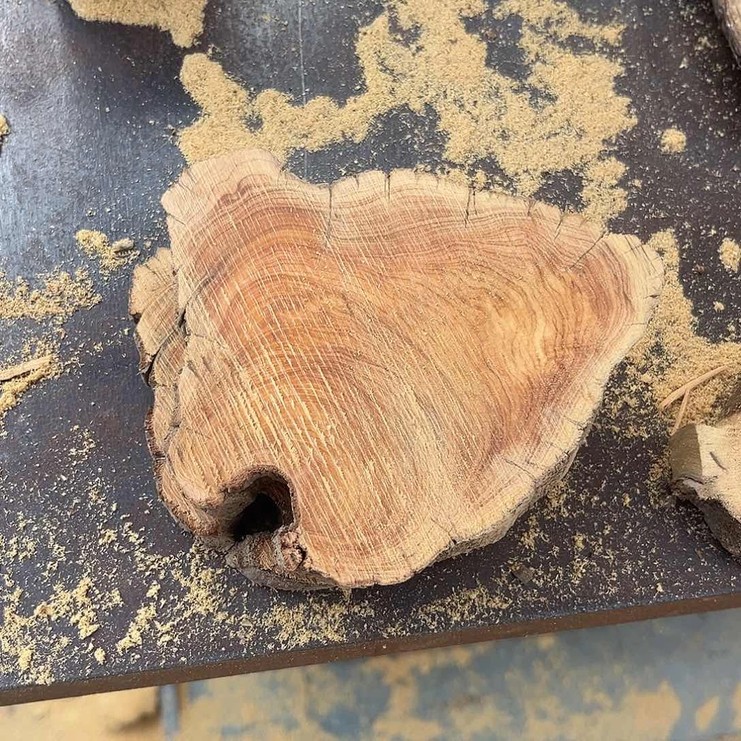 柏木南太行崖柏切片