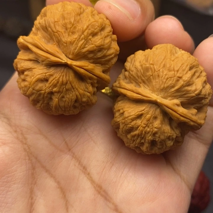 文玩核桃把件37尺铁狮子